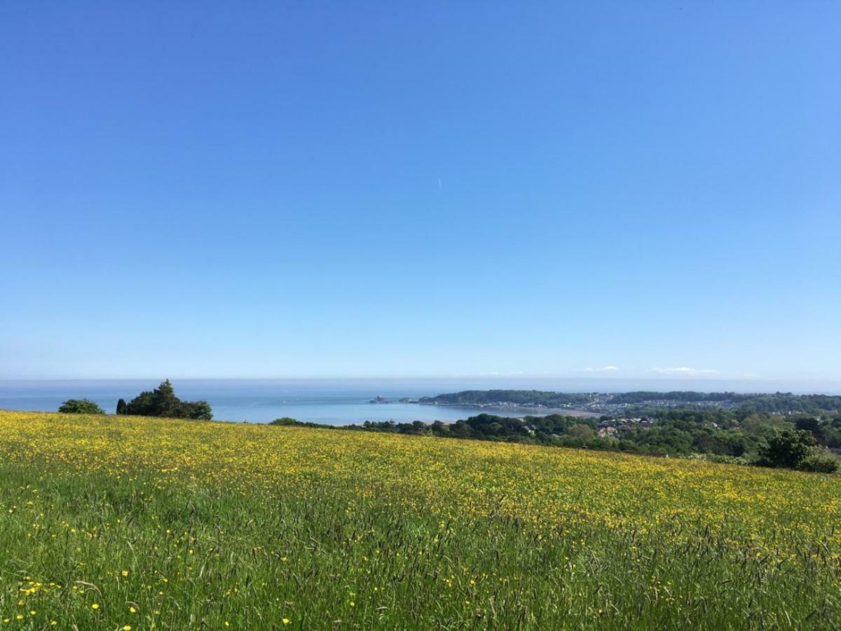 Clyne Farm Centre Villa The Mumbles Eksteriør billede