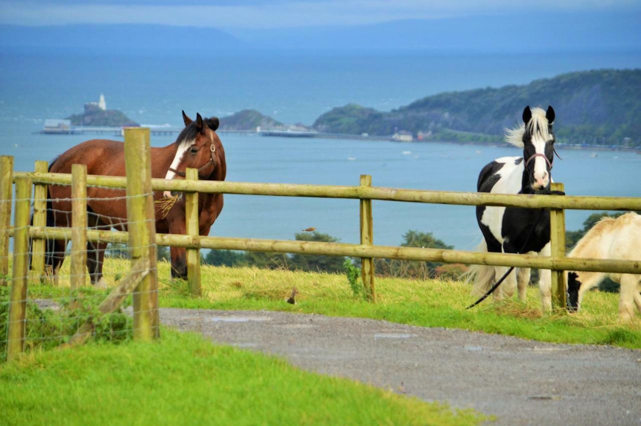 Clyne Farm Centre Villa The Mumbles Eksteriør billede